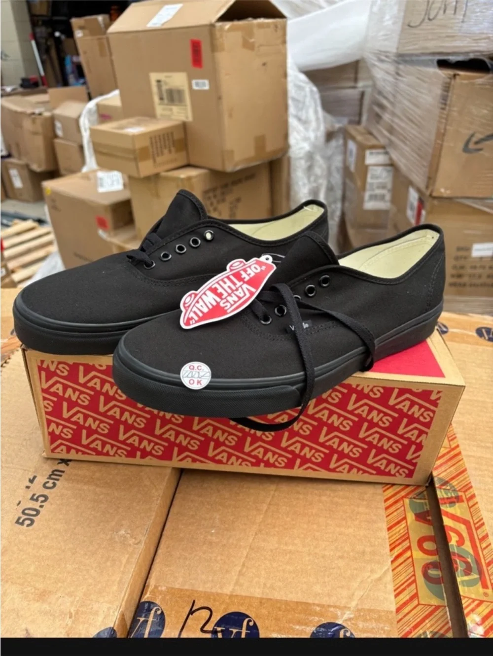 Vans Black Canvas Low Top Sneakers